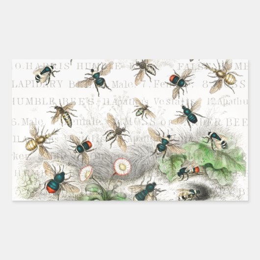 Bijenhoningwerker Queen Bees Antiek Rechthoekige Sticker (Voorkant)