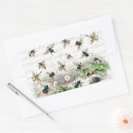 Bijenhoningwerker Queen Bees Antiek Rechthoekige Sticker (Envelop)
