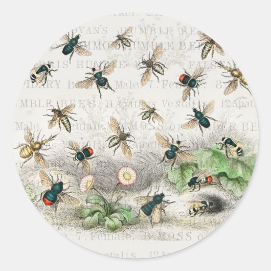 Bijenhoningwerker Queen Bees Antiek Ronde Sticker (Voorkant)
