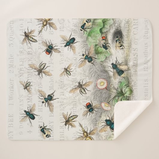 Bijenhoningwerker Queen Bees Antiek Sherpa Deken (Voorkant (horizontaal))