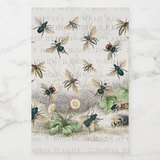 Bijenhoningwerker Queen Bees Antiek Voedselcontainer Etiket (Enkel label)