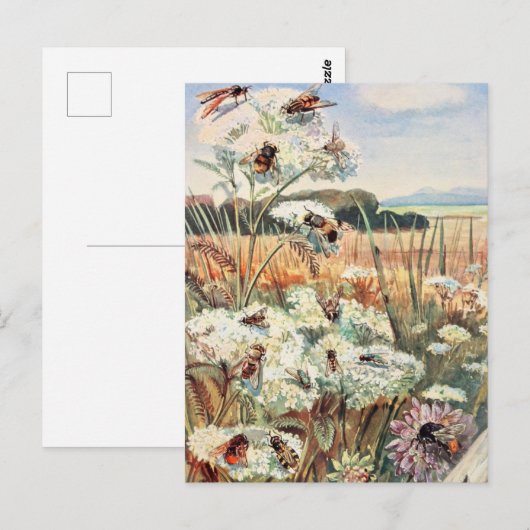  bijenillustratie briefkaart (Voorkant / Achterkant)