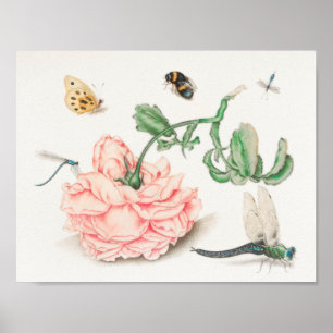  bijenillustratie poster