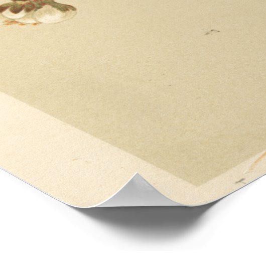  bijenillustratie poster (Hoek)