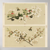  bijenillustratie poster (Voorkant)