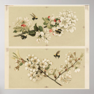  bijenillustratie poster