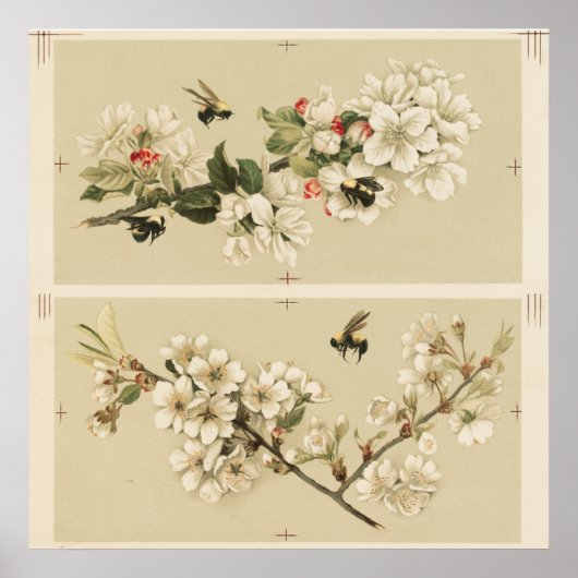  bijenillustratie poster (Voorkant)