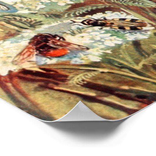  bijenillustratie poster (Hoek)