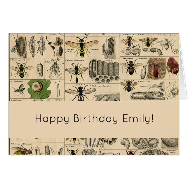 Bijeninsect insect wesp natuurlijke Natuur bijen s (Voorkant Horizontaal)