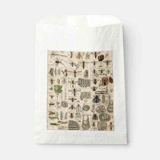 Bijeninsect insect wesp natuurlijke Natuur bijen s Bedankzakje (Voorkant)