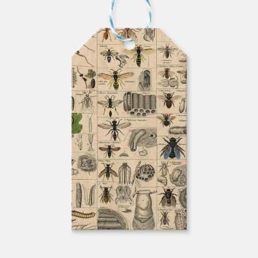 Bijeninsect insect wesp natuurlijke Natuur bijen s Cadeaulabel (Voorkant)