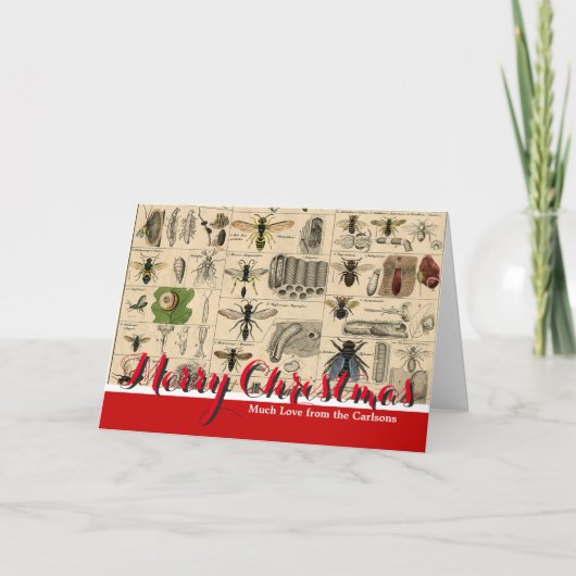 Bijeninsect insect wesp natuurlijke Natuur bijen s Feestdagen Kaart (Voorkant)