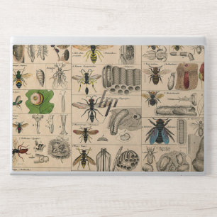 Bijeninsect insect wesp natuurlijke Natuur bijen s HP Laptopsticker
