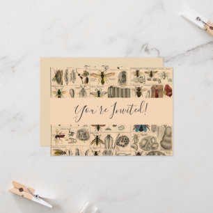 Bijeninsect insect wesp natuurlijke Natuur bijen s Kaart