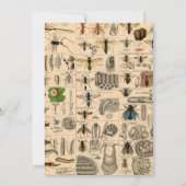 Bijeninsect insect wesp natuurlijke Natuur bijen s Kaart (Achterkant)