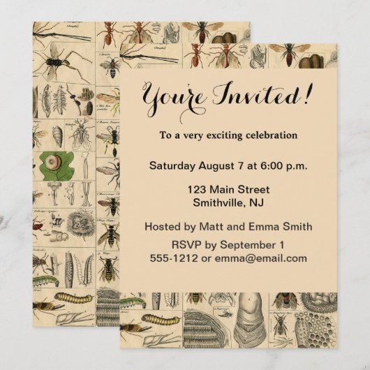 Bijeninsect insect wesp natuurlijke Natuur bijen s Kaart (Voorkant / Achterkant)