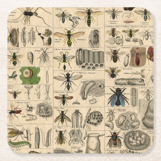 Bijeninsect insect wesp natuurlijke Natuur bijen s Kartonnen Onderzetters (Voorkant)