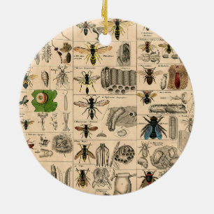 Bijeninsect insect wesp natuurlijke Natuur bijen s Keramisch Ornament