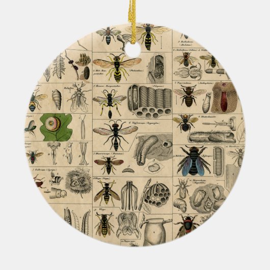 Bijeninsect insect wesp natuurlijke Natuur bijen s Keramisch Ornament (Achterkant)