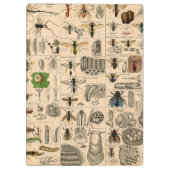 Bijeninsect insect wesp natuurlijke Natuur bijen s Klembord (Achterkant)