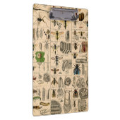 Bijeninsect insect wesp natuurlijke Natuur bijen s Klembord (Rechts)