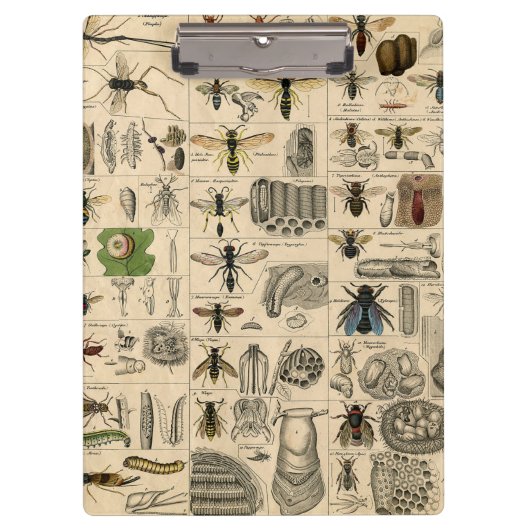 Bijeninsect insect wesp natuurlijke Natuur bijen s Klembord (Voorkant)
