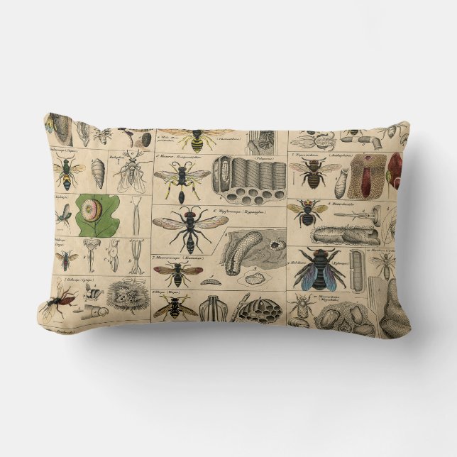 Bijeninsect insect wesp natuurlijke Natuur bijen s Kussen (Voorkant)