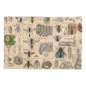 Bijeninsect insect wesp natuurlijke Natuur bijen s Kussensloop (Achterkant)