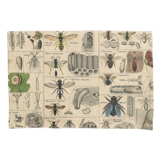 Bijeninsect insect wesp natuurlijke Natuur bijen s Kussensloop (Voorkant)