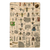 Bijeninsect insect wesp natuurlijke Natuur bijen s Mini Klembord (Achterkant)