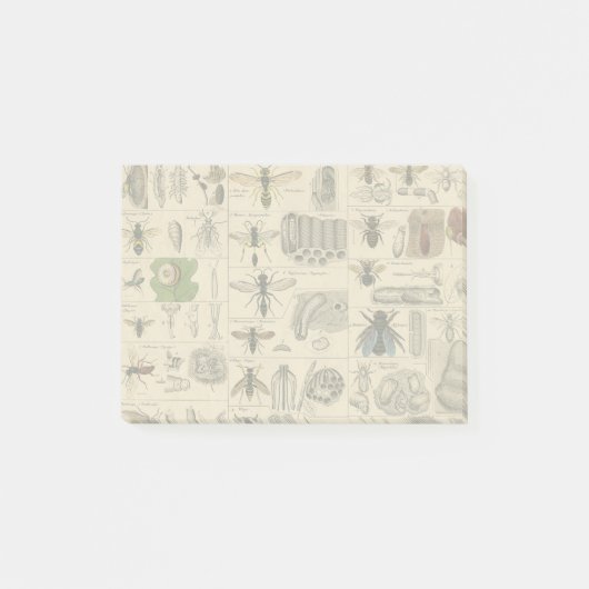 Bijeninsect insect wesp natuurlijke Natuur bijen s Post-it® Notes (Voorkant)