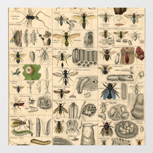 Bijeninsect insect wesp natuurlijke Natuur bijen s Raamsticker (Vel)