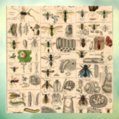 Bijeninsect insect wesp natuurlijke Natuur bijen s Raamsticker (Vel 3)