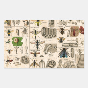 Bijeninsect insect wesp natuurlijke Natuur bijen s Rechthoekige Sticker