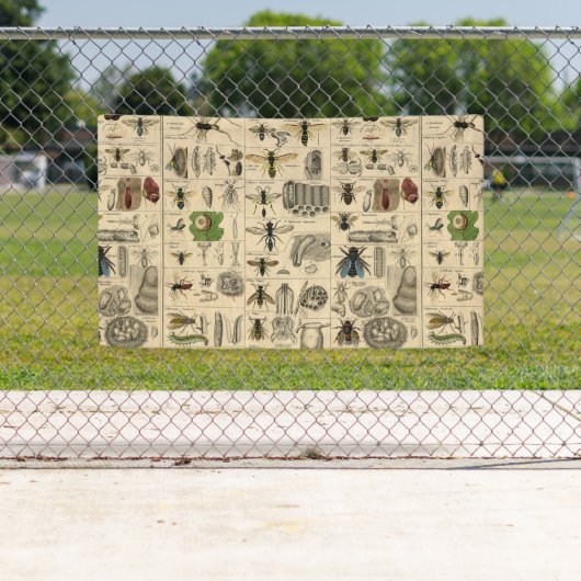 Bijeninsect insect wesp natuurlijke Natuur bijen s Spandoek (Insitu)