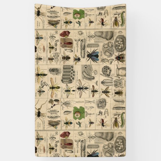 Bijeninsect insect wesp natuurlijke Natuur bijen s Spandoek (Verticaal)