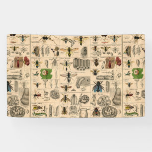 Bijeninsect insect wesp natuurlijke Natuur bijen s Spandoek