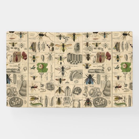 Bijeninsect insect wesp natuurlijke Natuur bijen s Spandoek (Horizontaal)