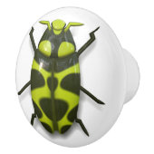 Bijeninsecteninsect schattige groene zwarte zwarte keramische knop (Rechts)