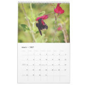 Bijenkalender Bee Love Kalender (Mar 2027)