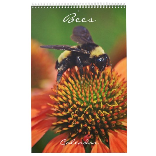Bijenkalender Bee Love Kalender (Hoes)