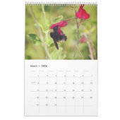 Bijenkalender Bee Love Kalender (Mar 2026)