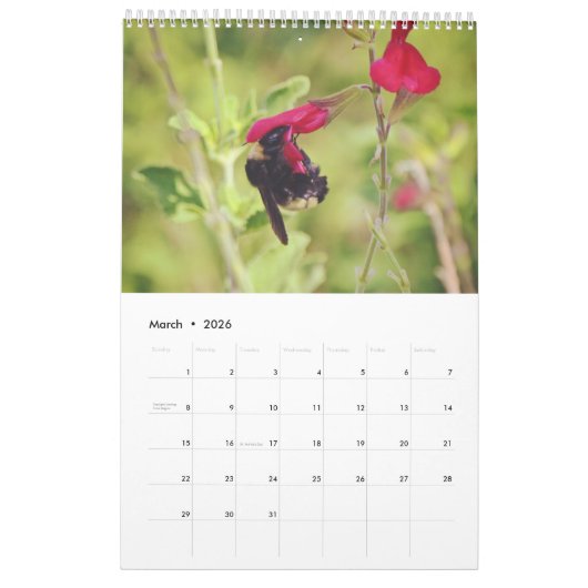 Bijenkalender Bee Love Kalender (Mar 2026)