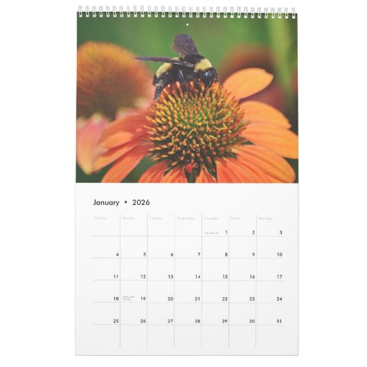 Bijenkalender Bee Love Kalender (Jan 2026)