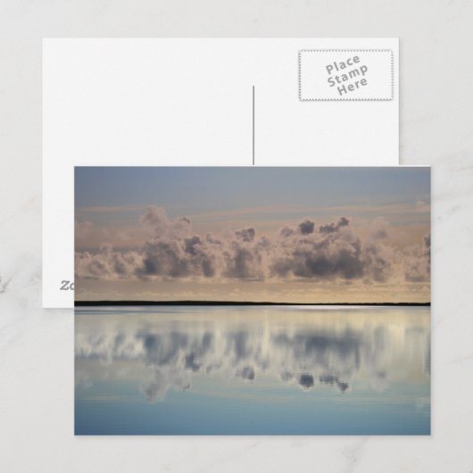 bijenkop briefkaart (Voorkant / Achterkant)