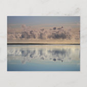 bijenkop briefkaart (Voorkant)