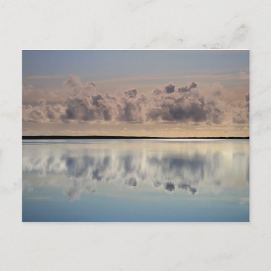 bijenkop briefkaart (Voorkant)