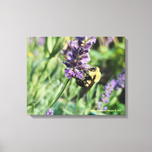 Bijenkorf Bij en Lavendel Opgespannen Canvasprint Canvas Afdruk