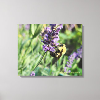 Bijenkorf Bij en Lavendel Opgespannen Canvasprint Canvas Afdruk