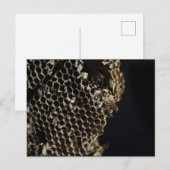 bijenkorf briefkaart (Voorkant / Achterkant)